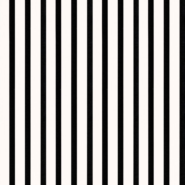 دکوراسیون با دیوارپوش PVC