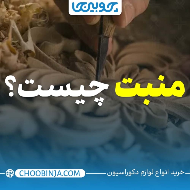 منبت