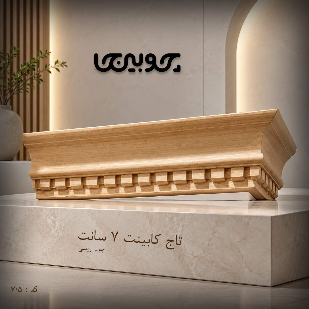 تاج دندان موشی